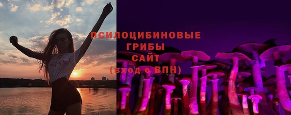 бошки Дмитровск