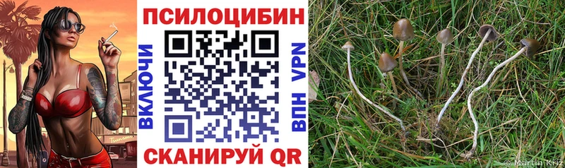 Галлюциногенные грибы GOLDEN TEACHER ОМГ ОМГ онион Изобильный