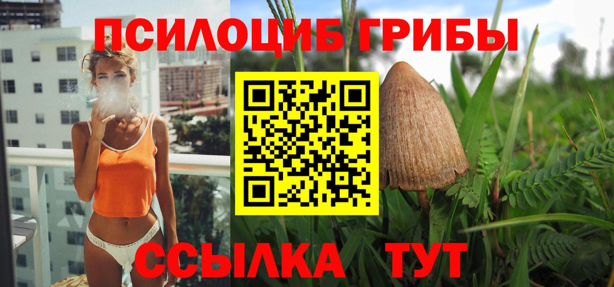 Псилоцибиновые грибы GOLDEN TEACHER  Вход с VPN  где продают наркотики  Изобильный 